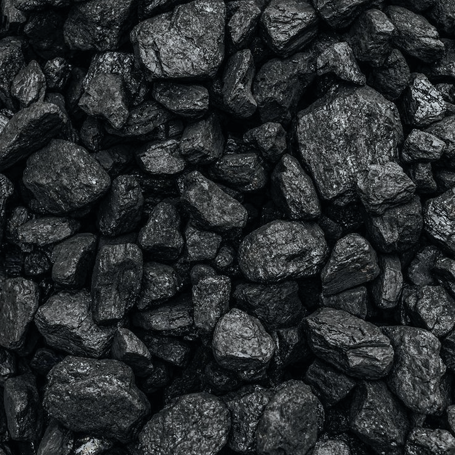 Charcoal