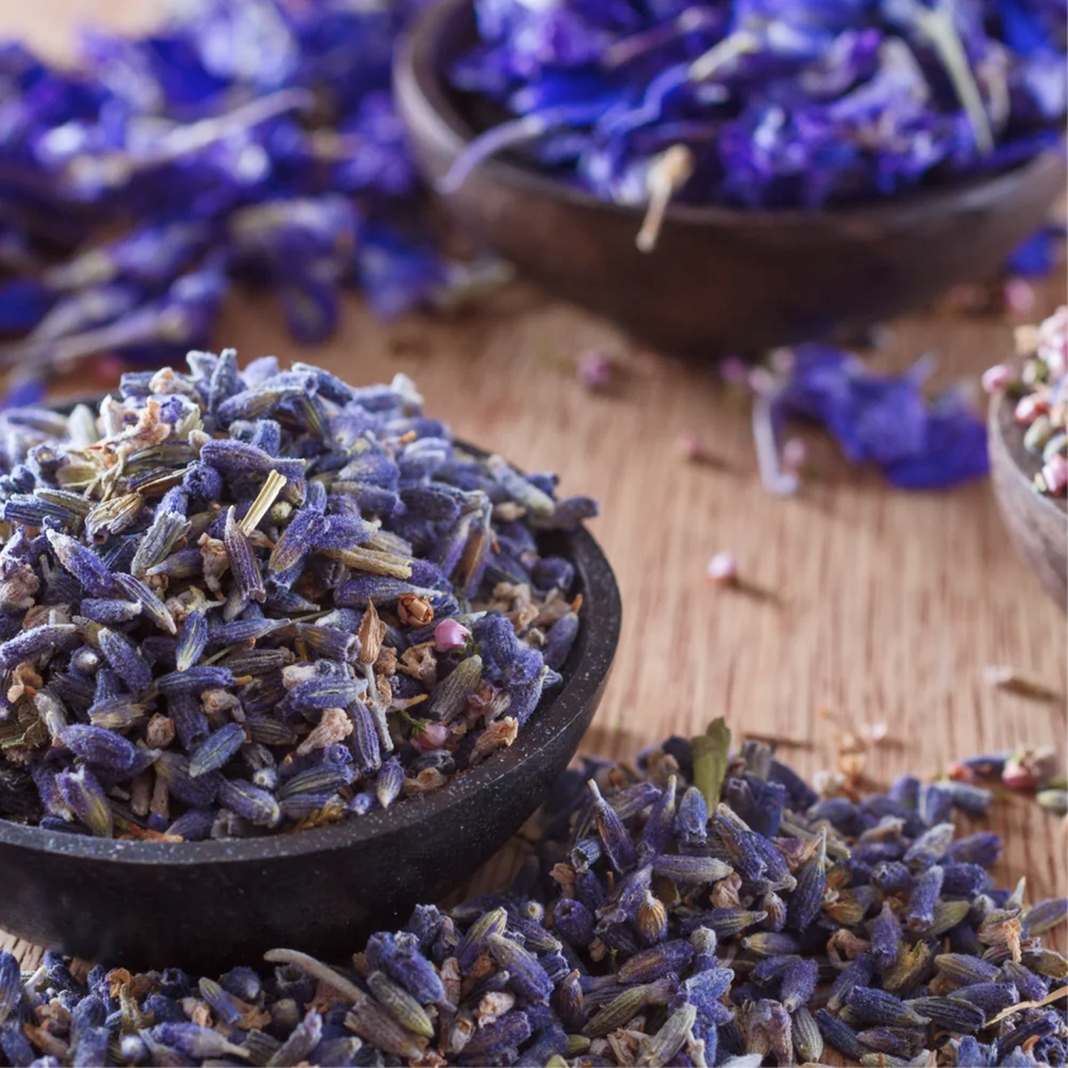 Lavender Buds