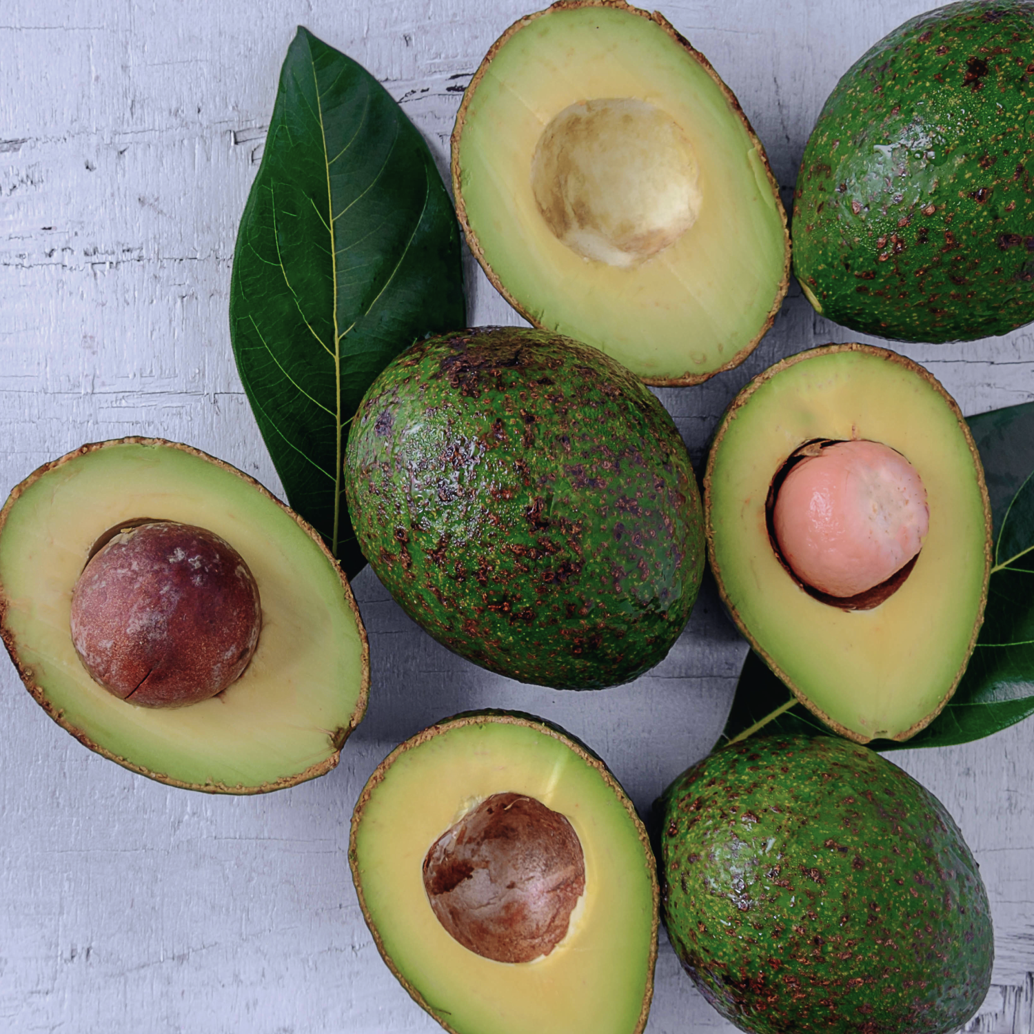 Avocado