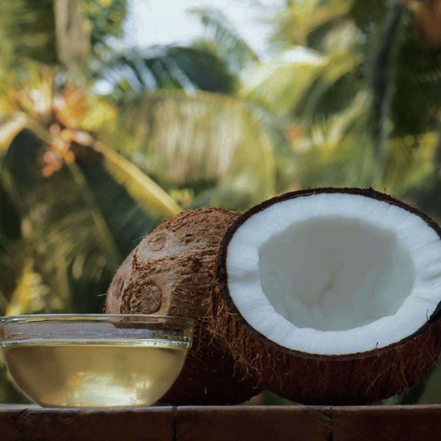 Coconut