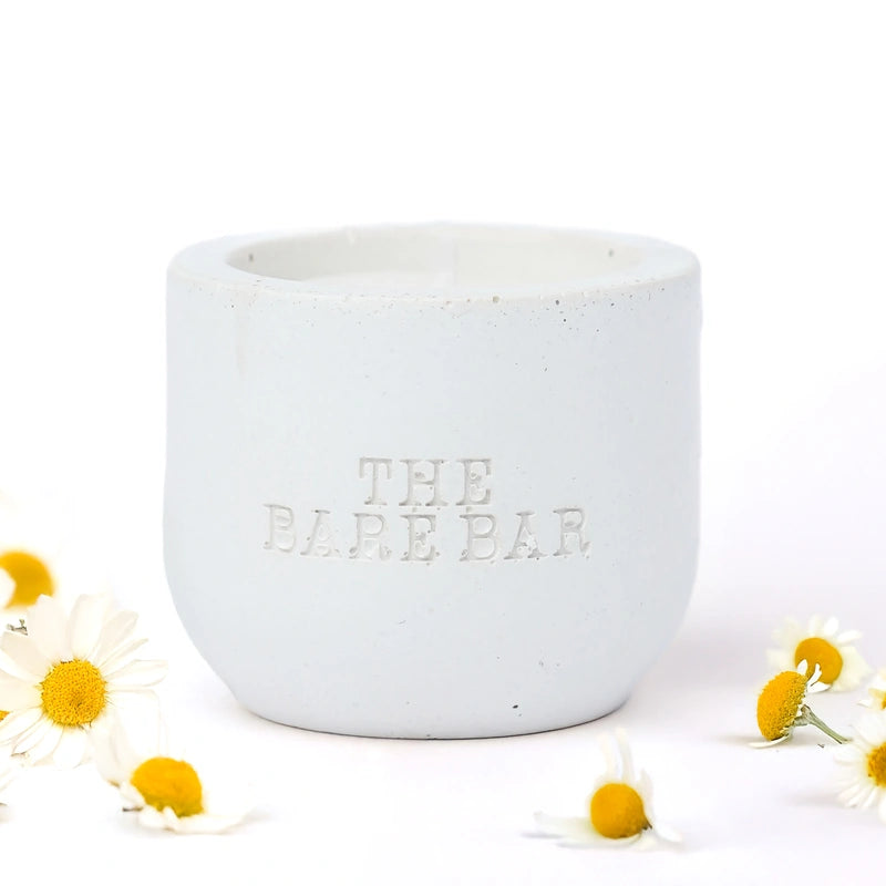 Chamomile thumbnail 3