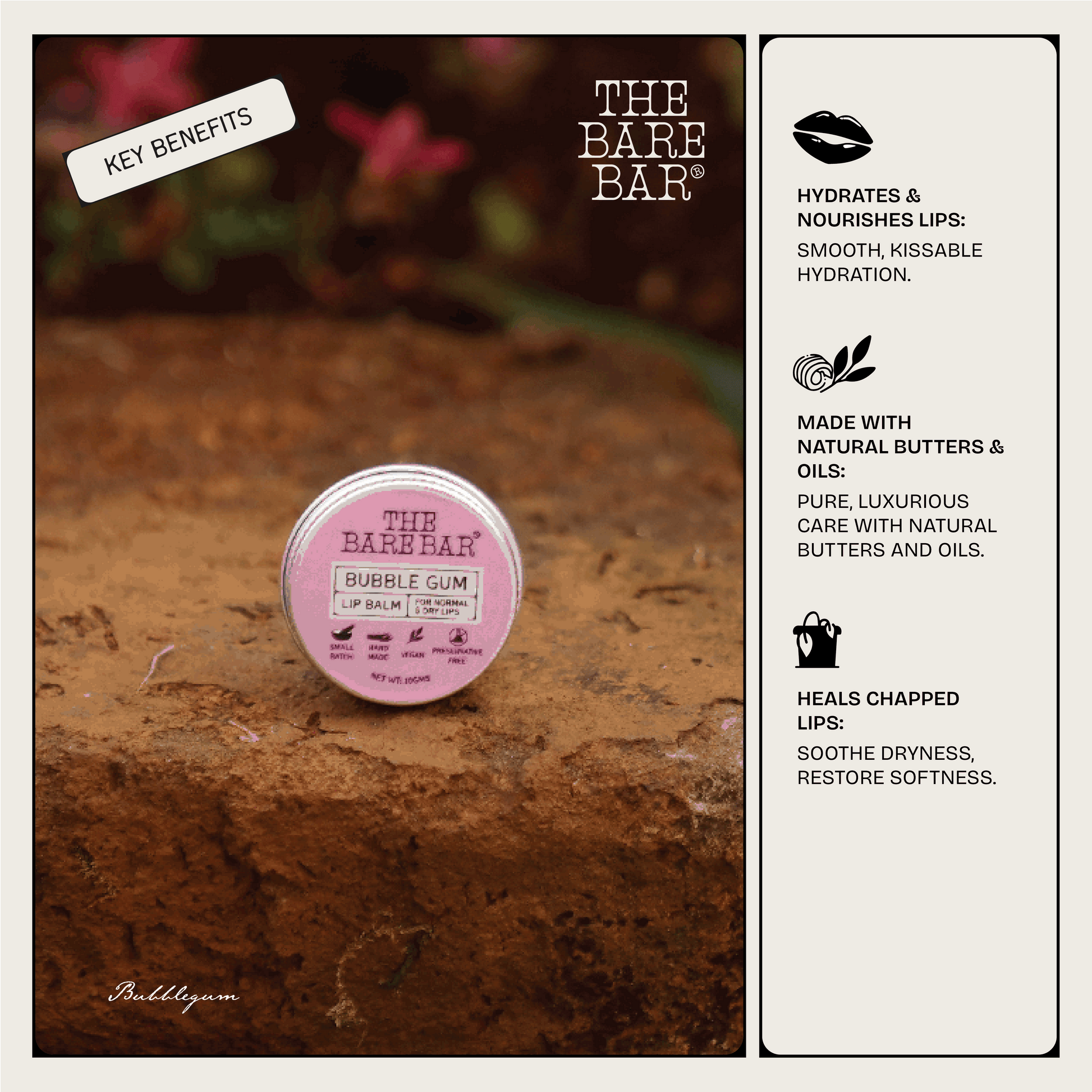 Bubble Gum Lip Balm-10gm