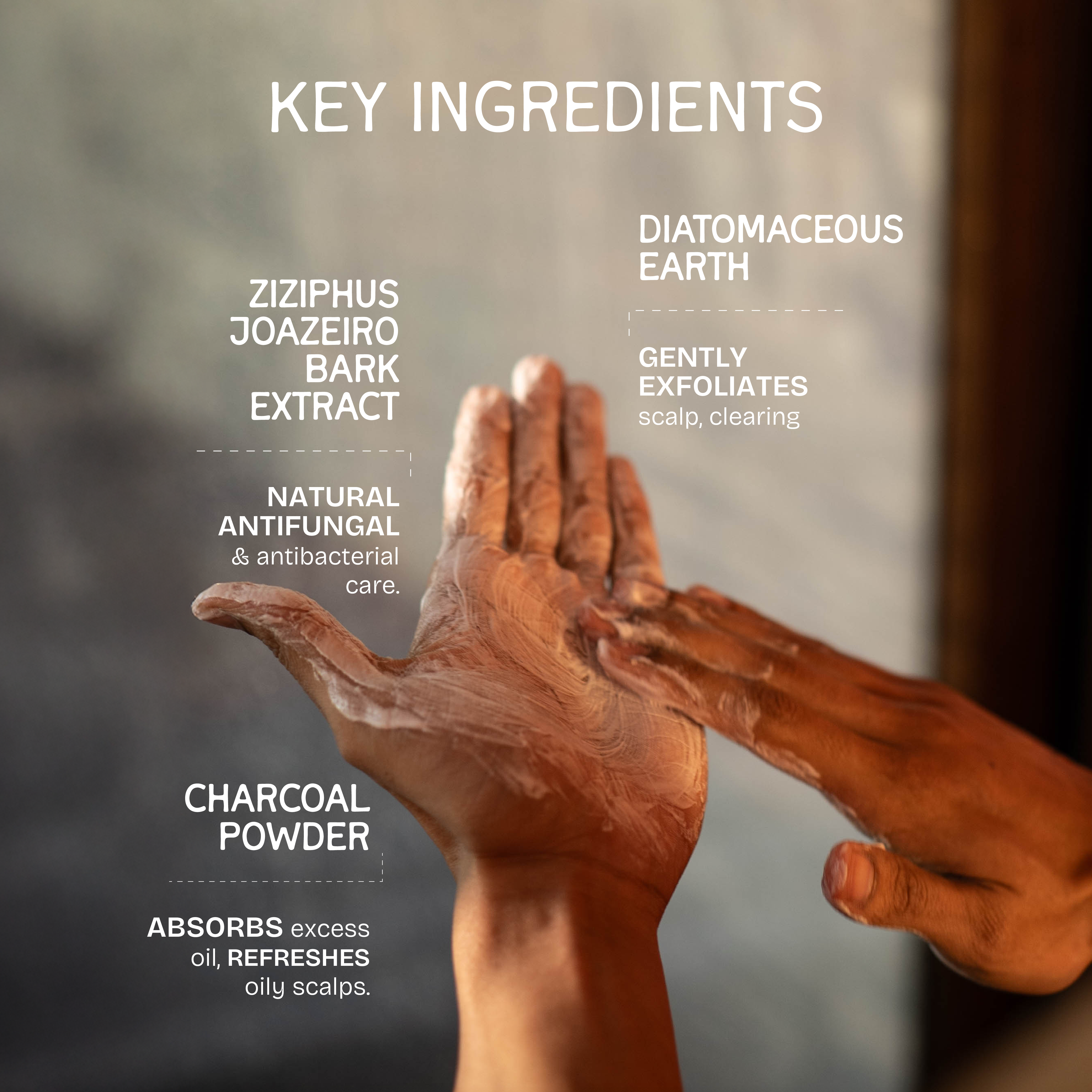 Flakes Away Exfoliating Shampoo