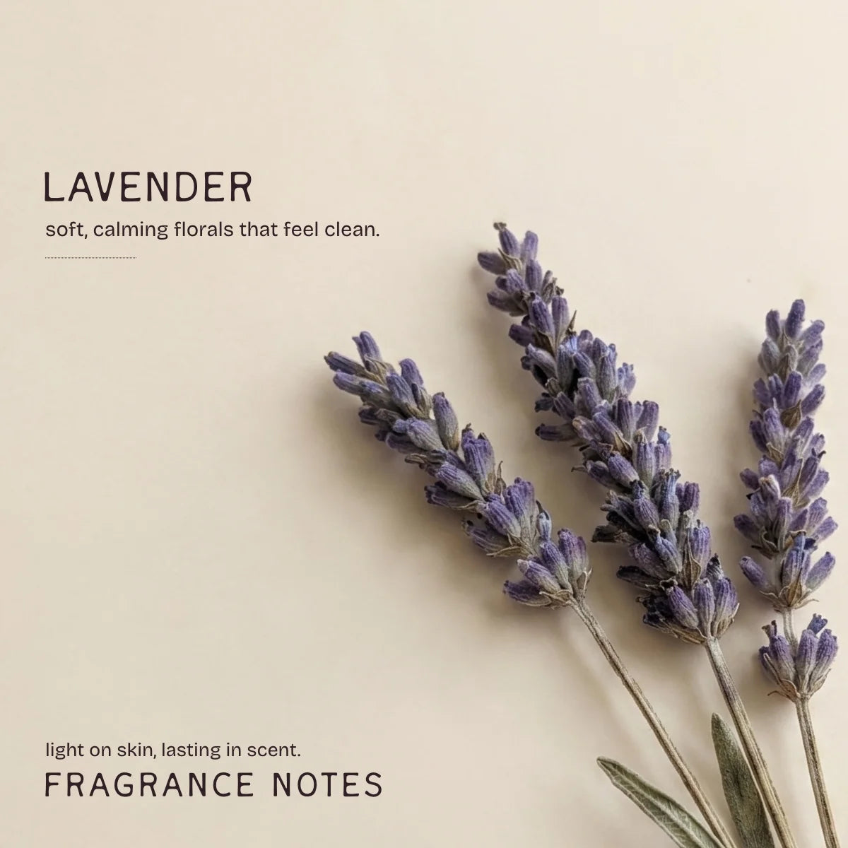 Kashmiri Lavender Deodorant Stick