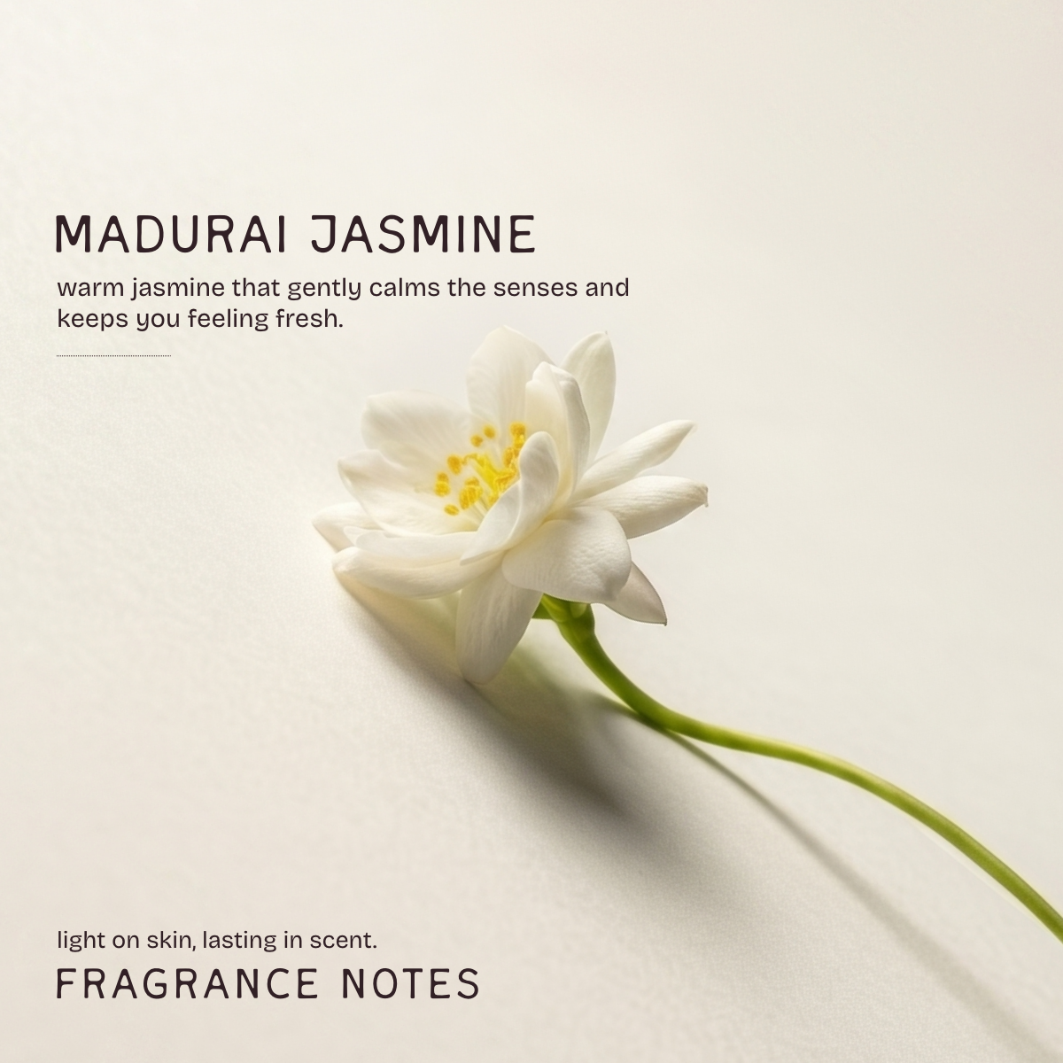 Madurai Jasmine Deodorant Stick