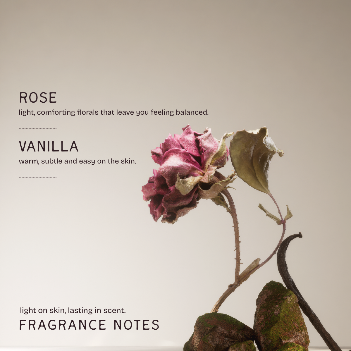 Rose Vanilla Deodorant Stick