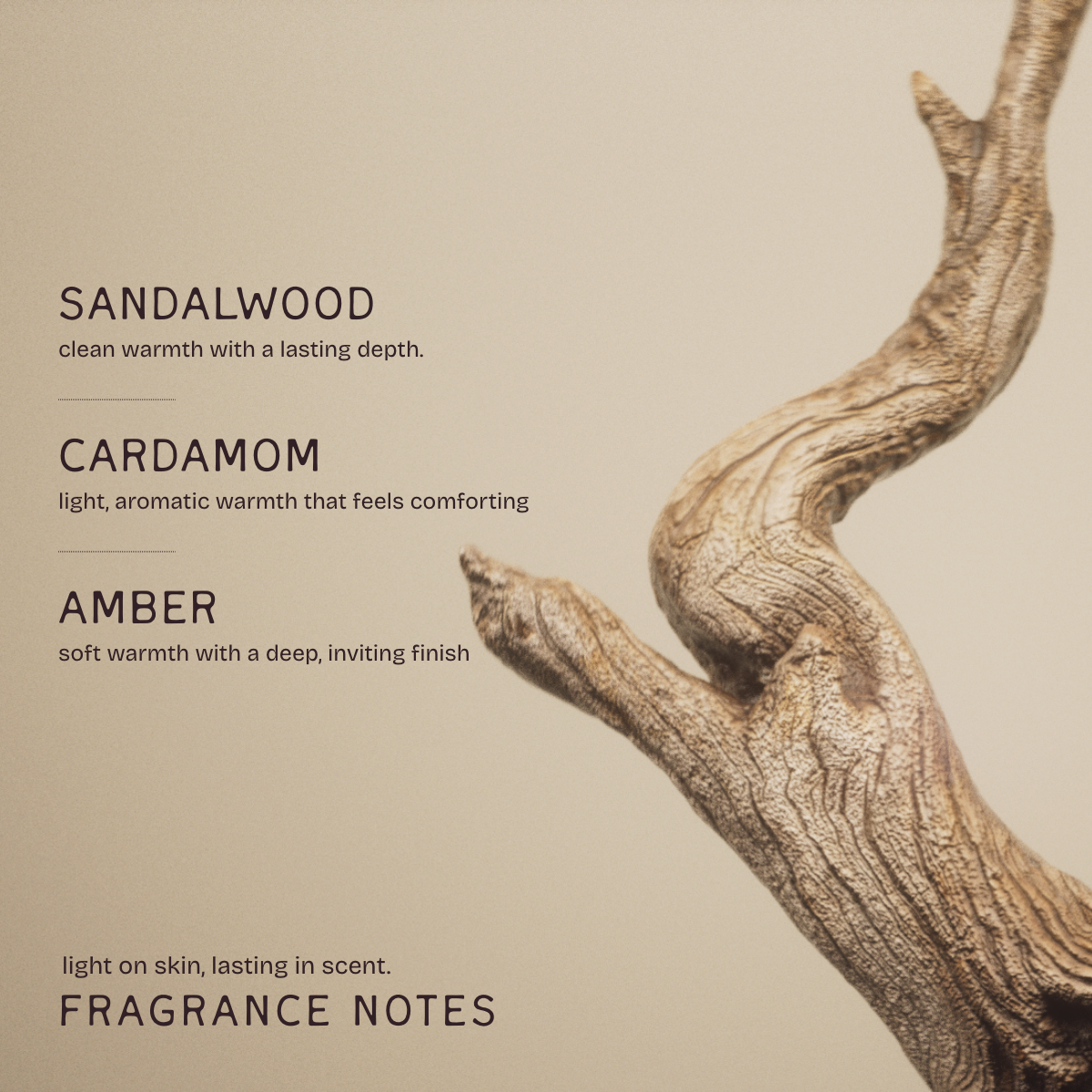 Sandalwood & Oud Deodorant Stick