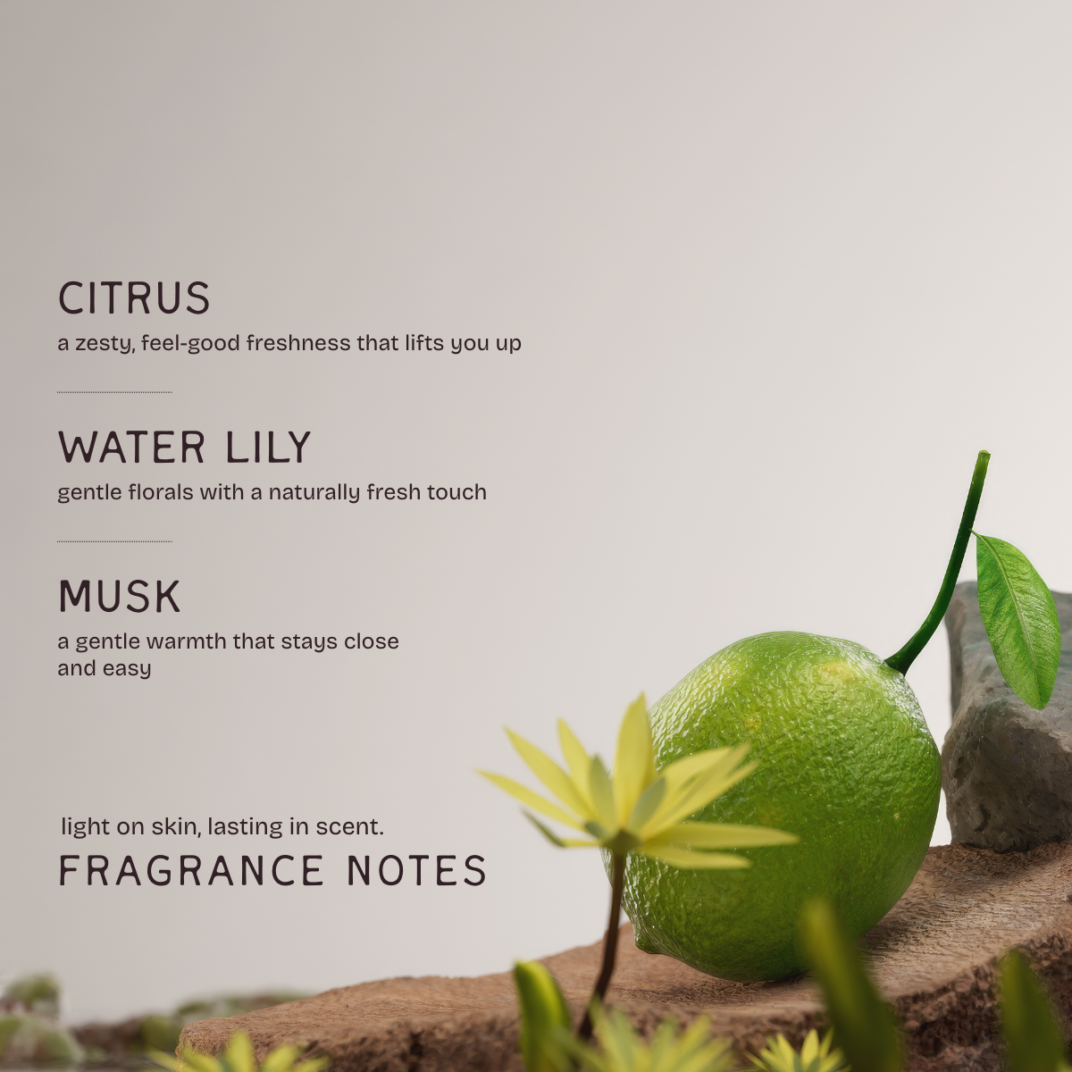 Sea Breeze Deodorant Stick